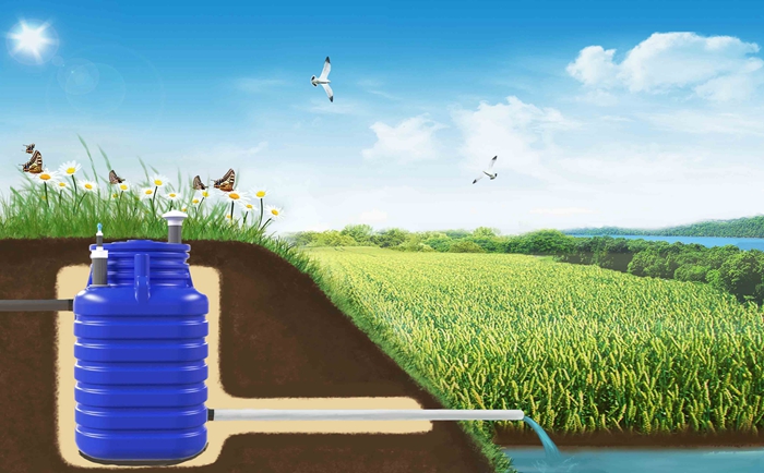 ���������ˮ����ʲô